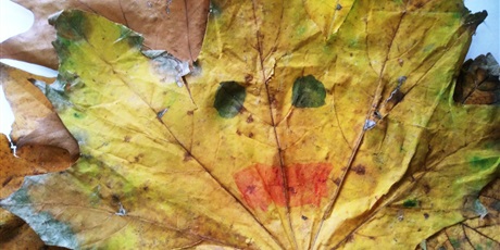 Powiększ grafikę: animals-from-autumn-leaves-130309.jpg