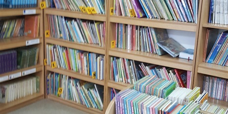 Powiększ grafikę: Biblioteka  szkolna. Półki  z  książkami.