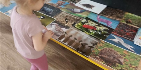 Powiększ grafikę: Dziewczynka ogląda zdjęcia zwierząt.