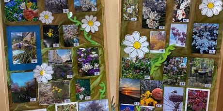 Powiększ grafikę: Galeria wszystkich prac konkursowych