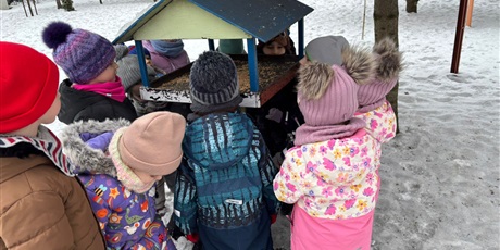 Powiększ grafikę: Ziarenka do karmnika wsypane.