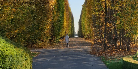 Powiększ grafikę: w-jesiennym-parku-oliwskim-2b-111832.jpg