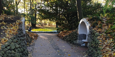 Powiększ grafikę: w-jesiennym-parku-oliwskim-2b-111837.jpg