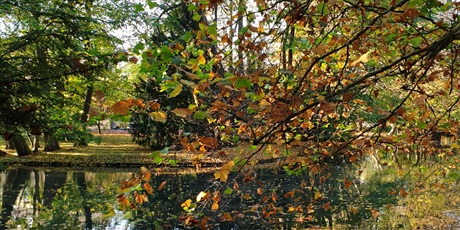 Powiększ grafikę: w-jesiennym-parku-oliwskim-2b-111841.jpg