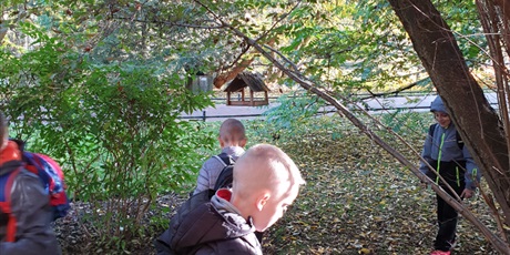 Powiększ grafikę: w-jesiennym-parku-oliwskim-2b-111843.jpg