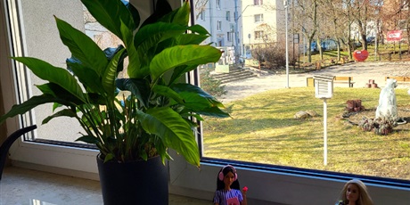 Powiększ grafikę: Psycholog szkolny